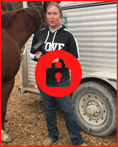 Videokursus "Hvordan du masserer din hest med Horse Gun Pro"